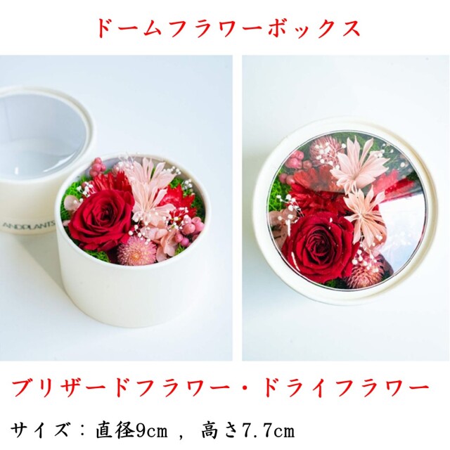 ブリザーブドフラワー新茶