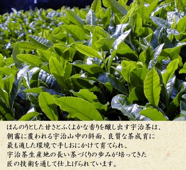 茶葉