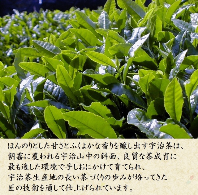 宇治茶】宇治新茶【新緑】80g×1本入り 2022年産/宇治茶,抹茶スイーツ・抹茶菓子【京都茶匠きよ泉】