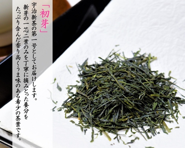 新茶初芽