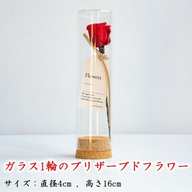 ブリザードフラワー母の日