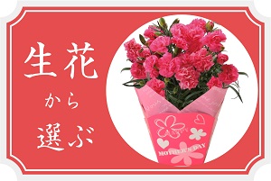 カーネーションセット