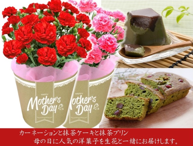 カーネーションとケーキセット