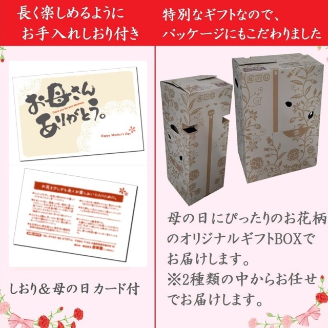母の日和菓子セット