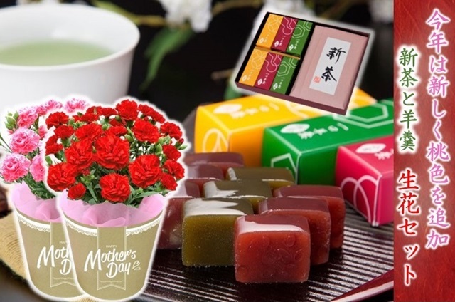 母の日選べるカーネーションとお菓子セット